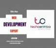 Dynamic solutions for your website development needs